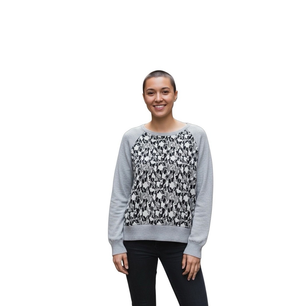 Joie Women's Snake Print Front Cashmere Wool Blend Crew Neck Sweater Gray Size L